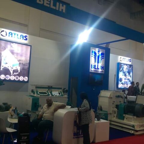 FB_IMG_1689268109726