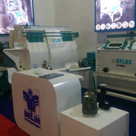 FB_IMG_1689268113293