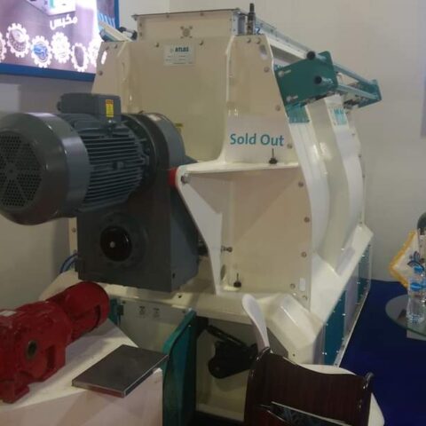 FB_IMG_1689268189052